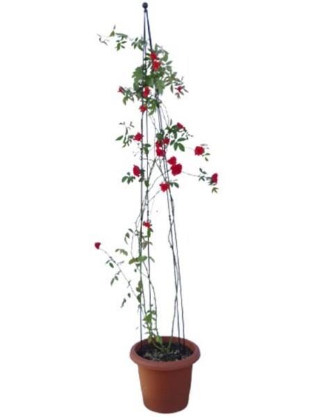 植物支柱 園芸支柱 トレリス オベリスク アイアン 日本製 国産 園芸 バラ 誘引 高さ200cm 小林金物